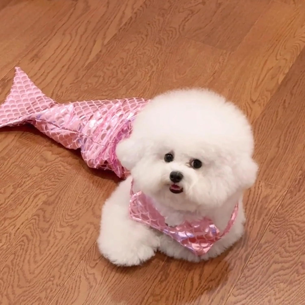 Cat Mermaid Costume Creative Cat And Dog  Mermaid Fishtail Dress  Photo Props