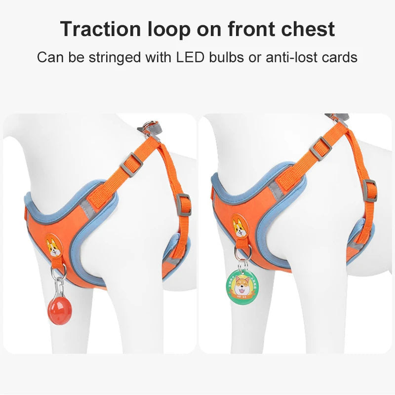 Dog Leash And Harness Set Pet Dog Harness And Leash Set Adjustable Puppy Cat Harness