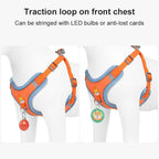 Dog Leash And Harness Set Pet Dog Harness And Leash Set Adjustable Puppy Cat Harness