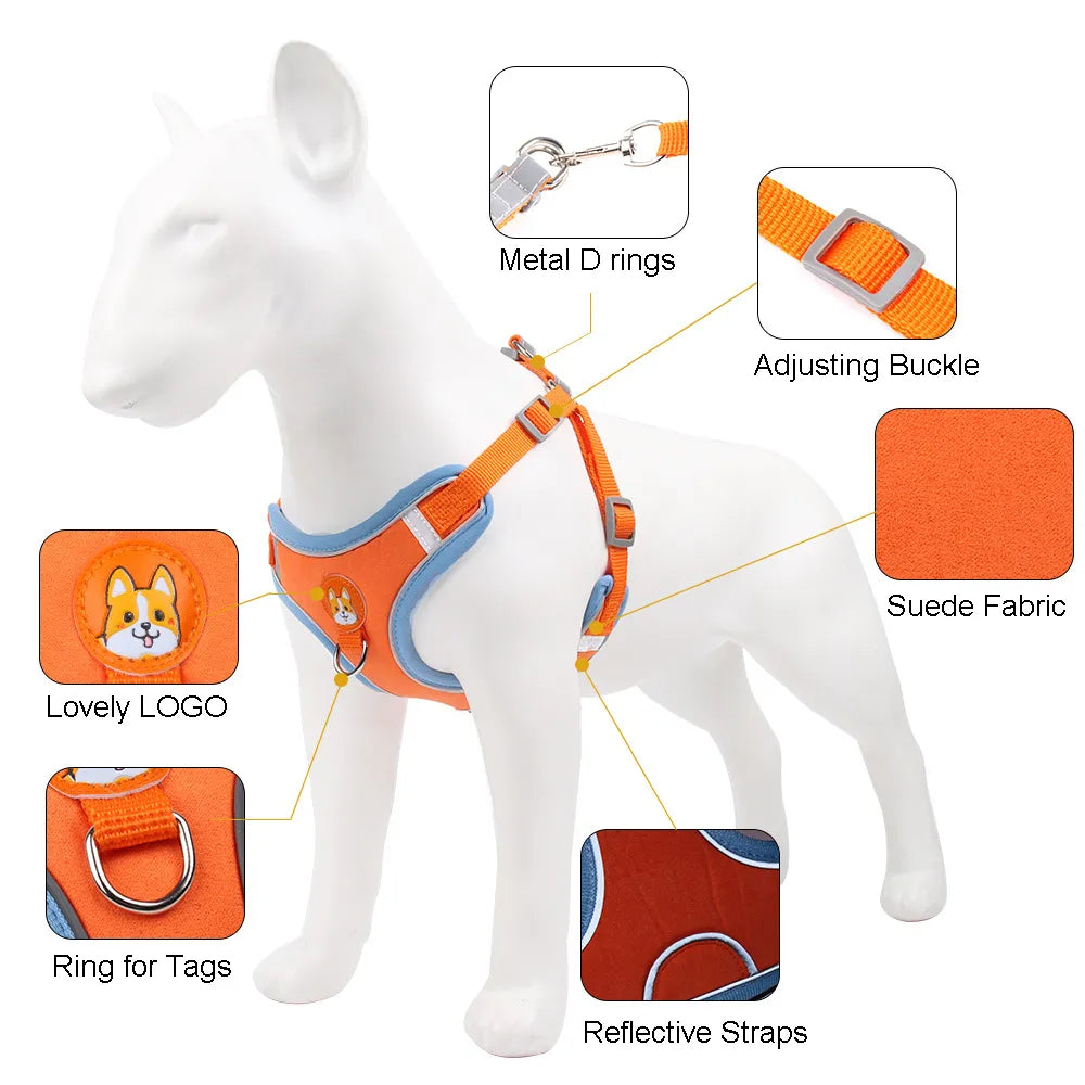 Dog Leash And Harness Set Pet Dog Harness And Leash Set Adjustable Puppy Cat Harness