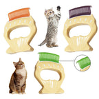 Pet Dog Cat Combs Shell Shaped Hair Remover Brush Grooming Tools Dog Massage Comb
