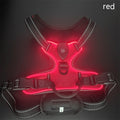 LED Luminous Night Walking Dog Car Accident Prevention Adjustable Flash Dogs Cats Vest