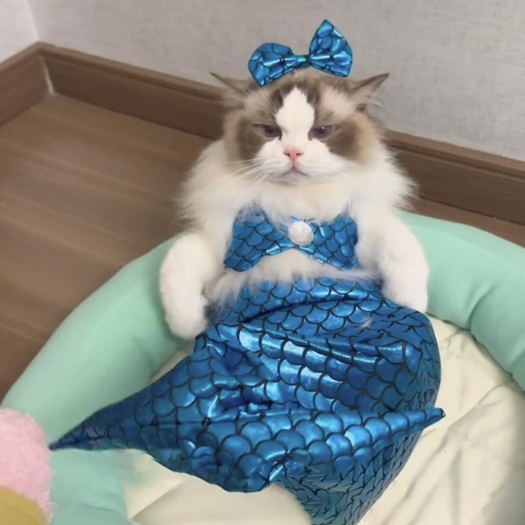 Cat Mermaid Costume Creative Cat And Dog  Mermaid Fishtail Dress  Photo Props