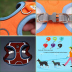 Dog Leash And Harness Set Pet Dog Harness And Leash Set Adjustable Puppy Cat Harness