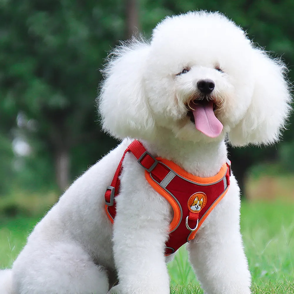 Dog Leash And Harness Set Pet Dog Harness And Leash Set Adjustable Puppy Cat Harness