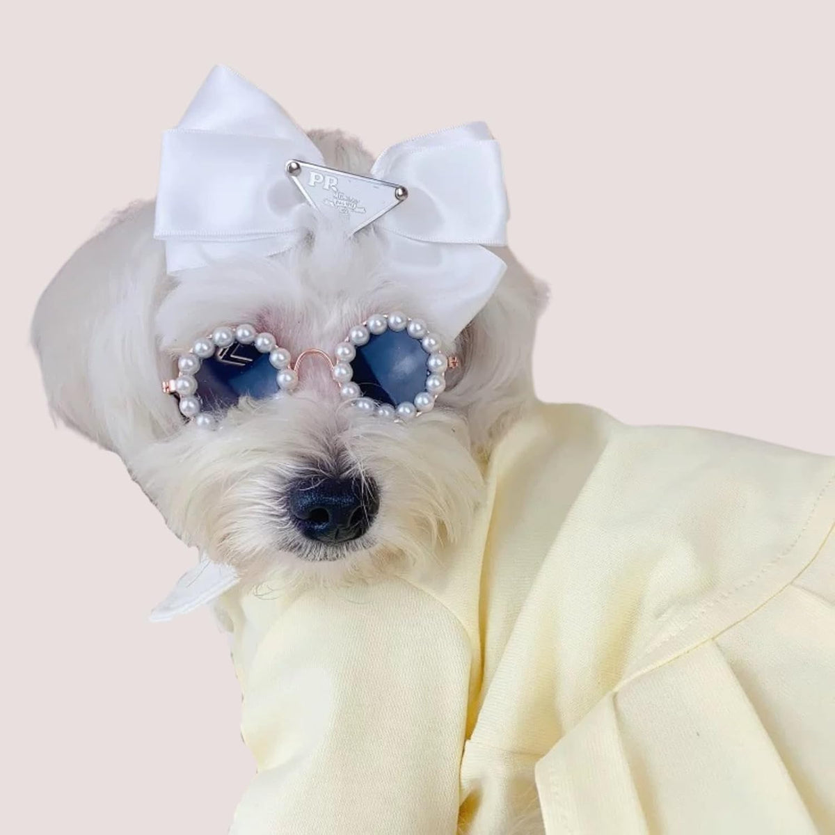 Cat And Dog Pearl Sunglasses - Pet Extravagant Funny Costumes For Party