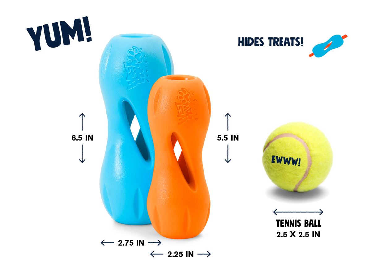 Qwizl Fetching Toy for Dogs
