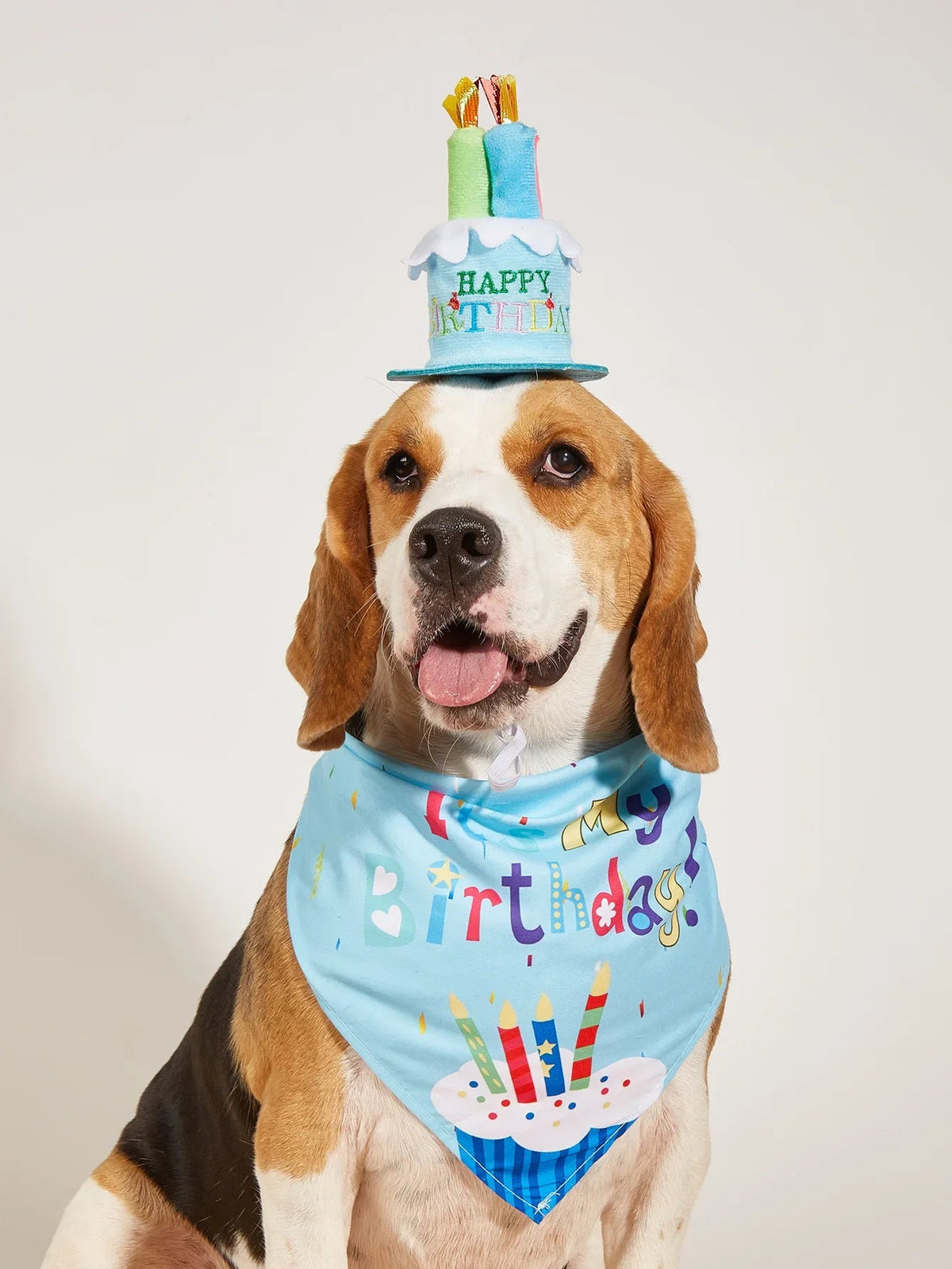 Dog Happy Birthday Costume Hats Bowknot Bandana Neckerchief Bibs Banners Party Cat Dog
