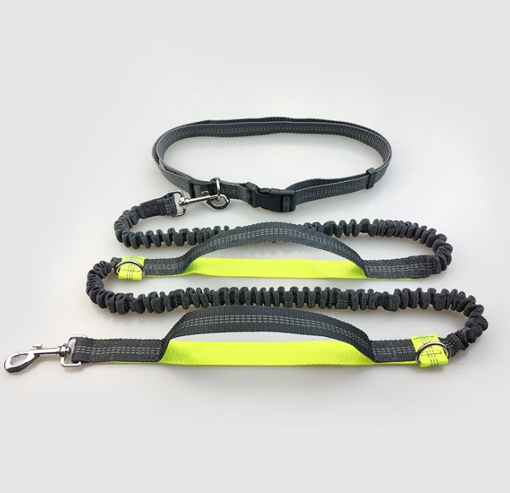 Amazon direct pet supplies multi-function running reflective leash double elastic leash traction