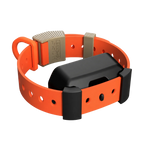 Training Collar Setup