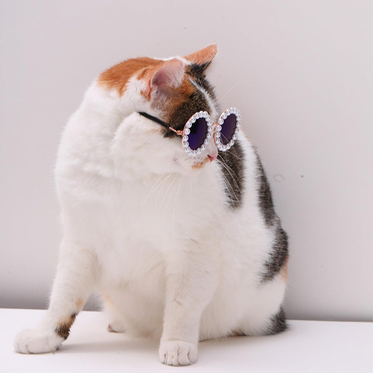 Cat And Dog Pearl Sunglasses - Pet Extravagant Funny Costumes For Party