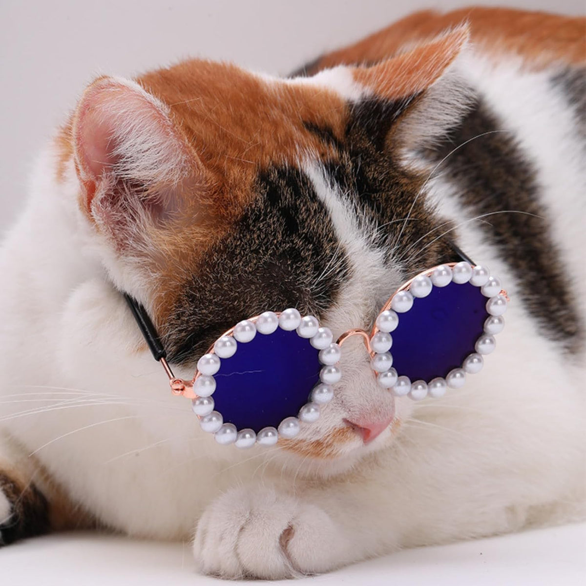 Cat And Dog Pearl Sunglasses - Pet Extravagant Funny Costumes For Party