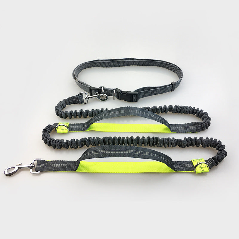 Amazon direct pet supplies multi-function running reflective leash double elastic leash traction