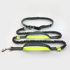 Amazon direct pet supplies multi-function running reflective leash double elastic leash traction