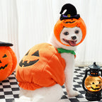 Halloween Vest For Dogs Cat Pet Costume Funny Thanksgiving Christmas For Small Animals