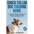 Shock Collar Training Tips and Methods, All You Need to Know About Remote Collar Training