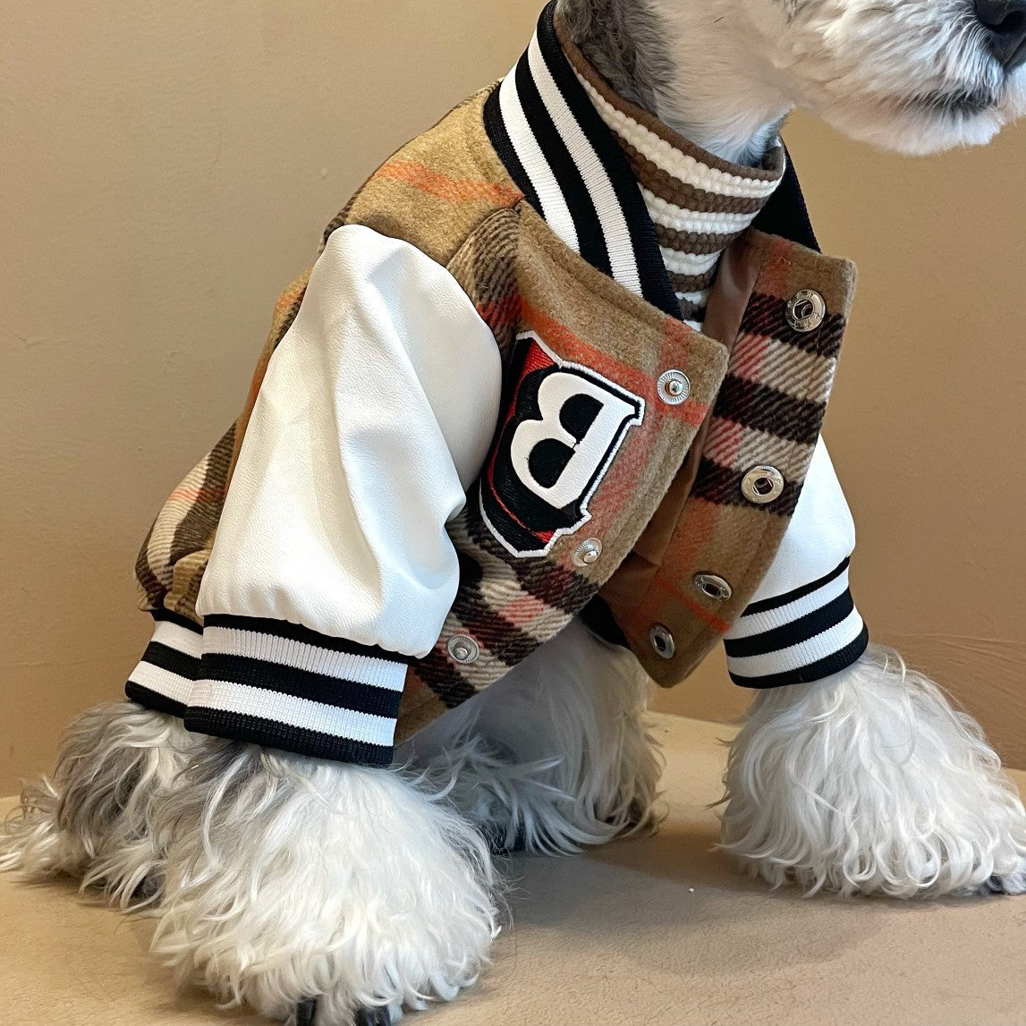 Dog Clothes Winter Wool Pet Hair Padded Jacket
