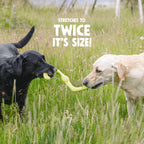 Bumi Fetching, Chewing Toy for Dogs