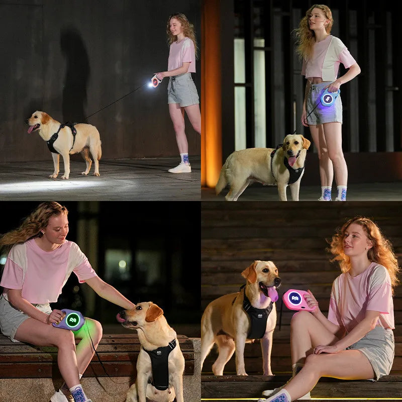 Automatic Retractable Leash LED Luminous Light Straps Small Medium Dog Walking Running