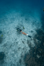 Navbow Under Water Scooter