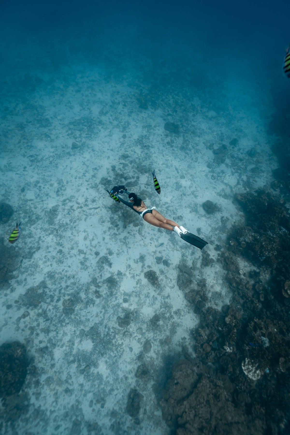Navbow Under Water Scooter