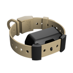 Training Collar Setup