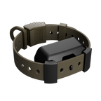 Training Collar Setup
