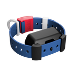Training Collar Setup