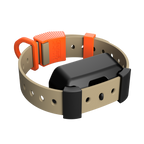 Training Collar Setup