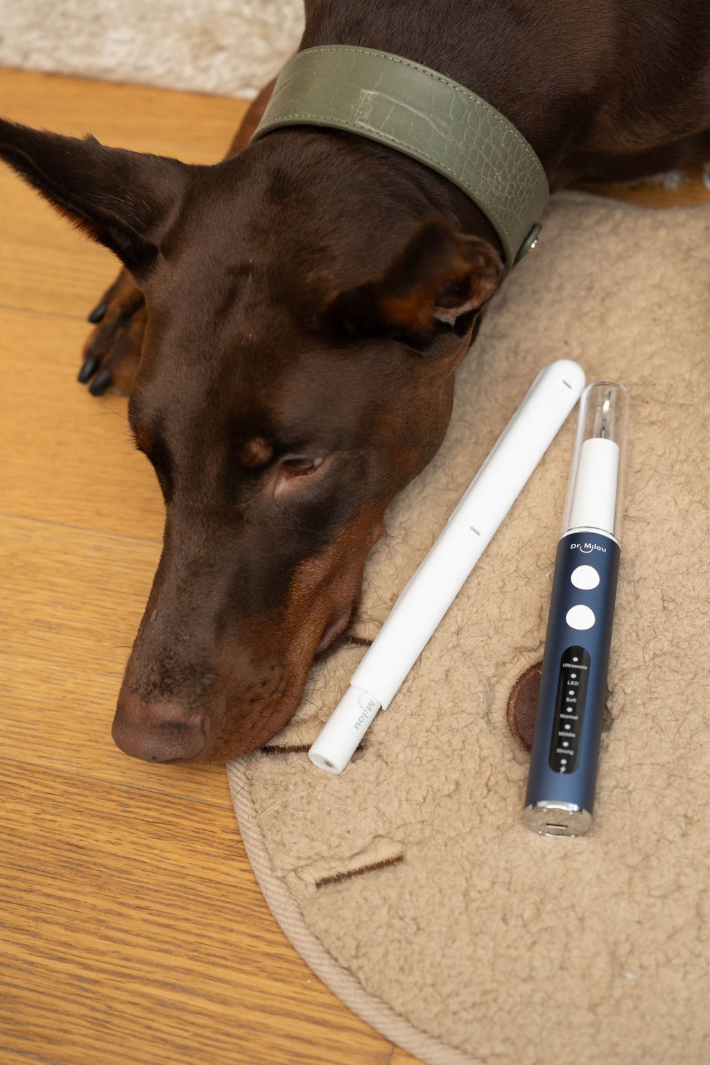 Anesthesia-Free Dental Cleaning Kit Ultrasonic Tartar Remover Toothbrush for Dogs & Cats