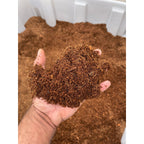 ReptiEarth Breeder Blocks and Bundles