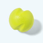 Jive Fetching Toy for Dogs
