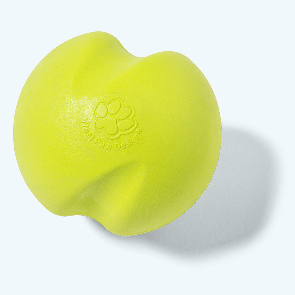 Jive Fetching Toy for Dogs