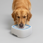Floating Plate Water Feeder Bowl