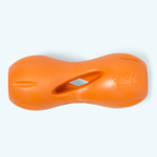 Qwizl Fetching Toy for Dogs