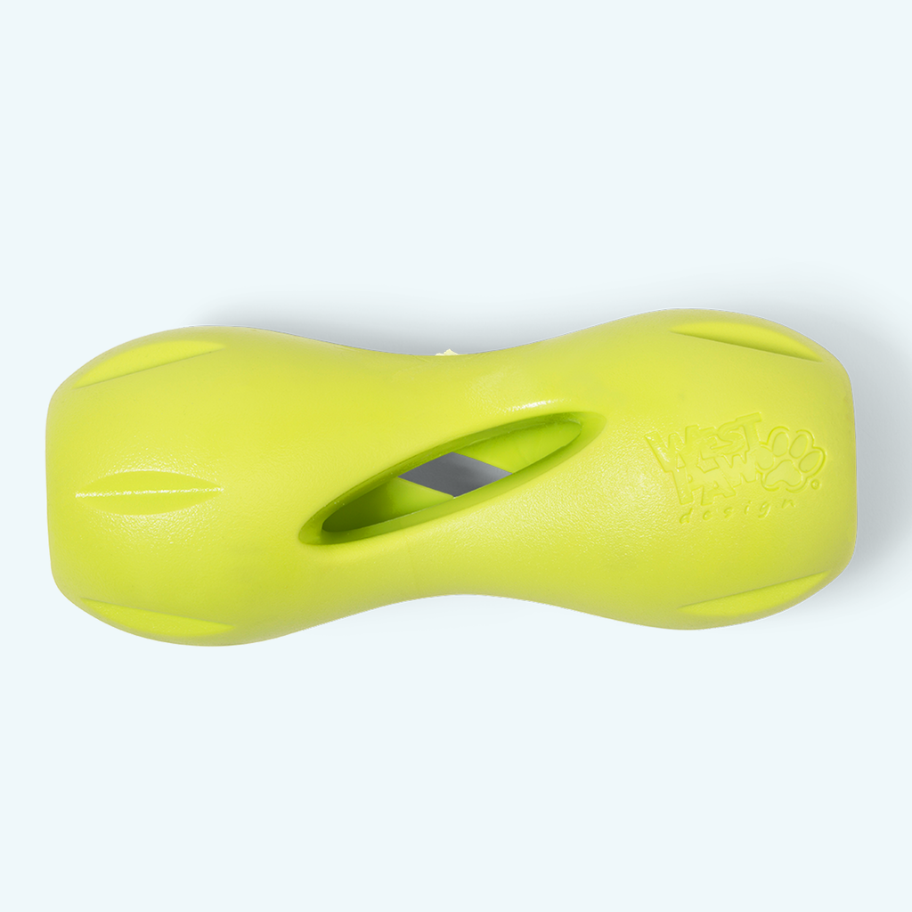 Qwizl Fetching Toy for Dogs