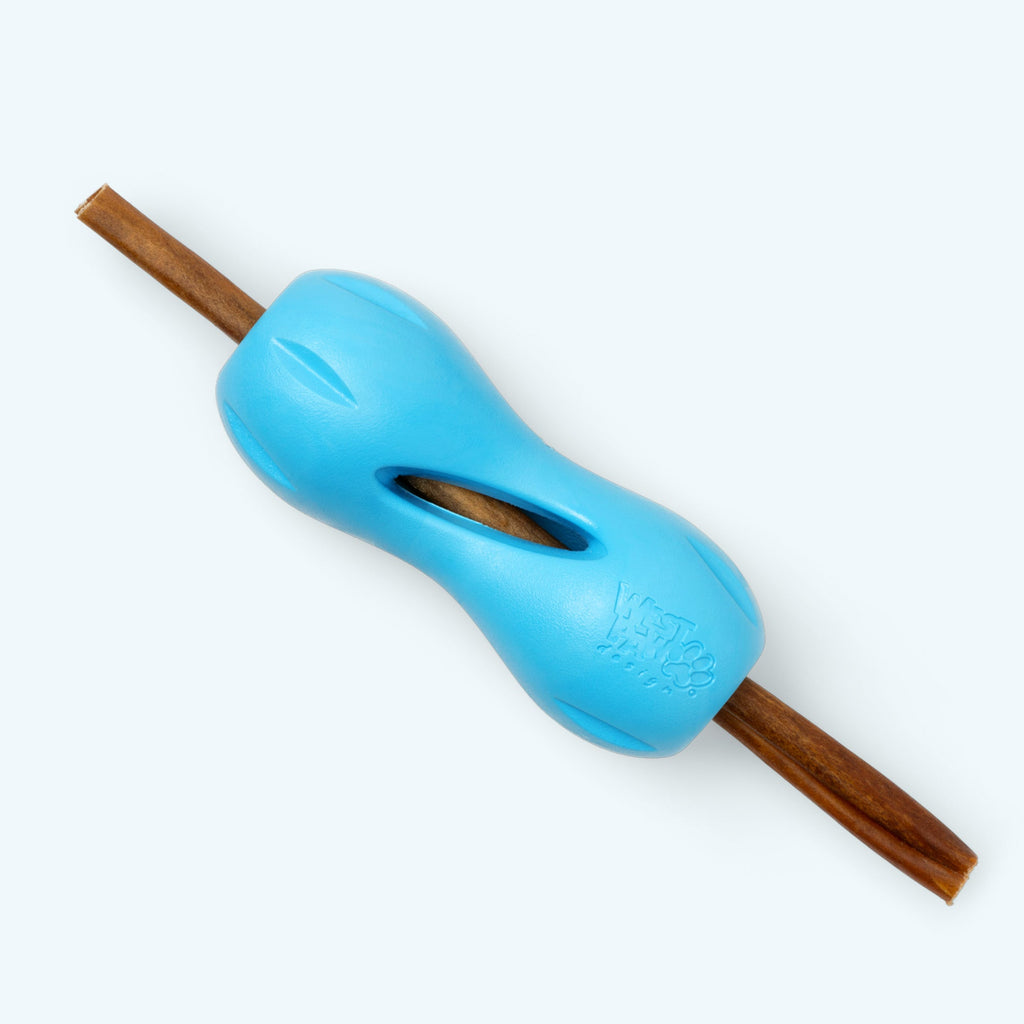 Qwizl Fetching Toy for Dogs