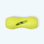 Qwizl Fetching Toy for Dogs