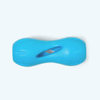 Qwizl Fetching Toy for Dogs