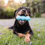 Rumpus Fetching Chewing Toy for Dogs