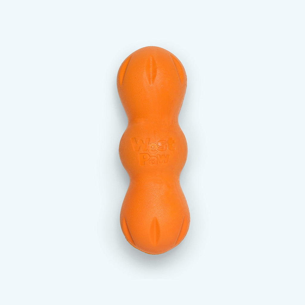 Rumpus Fetching Chewing Toy for Dogs