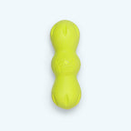 Rumpus Fetching Chewing Toy for Dogs
