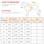 Cute Fruit Pet Hoodie Sweater – Warm Costume for Cats and Small Dogs