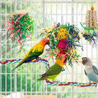 6 PCS Bird Chew Toys Cage Removal Pendant