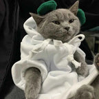 Cute Fruit Pet Hoodie Sweater – Warm Costume for Cats and Small Dogs