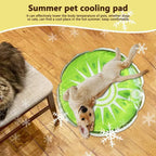 Cooling Mat For Dogs Fruit Pattern Sleeping Mattress For Dogs