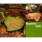 Reptile Leaf Shape Dish Flat Water Plate for Lizards Young Bearded Dragons Chameleon Small Snakes Water Plate for Turtle Lizards