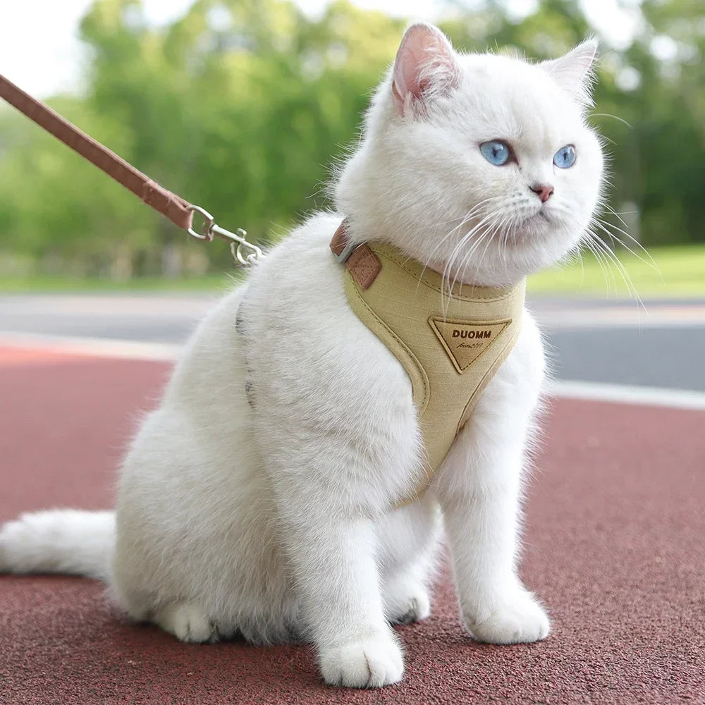 Outdoor Walking Supplies Fashion Pet Leash Small Dogs Cats Breathable Durable Harnesses
