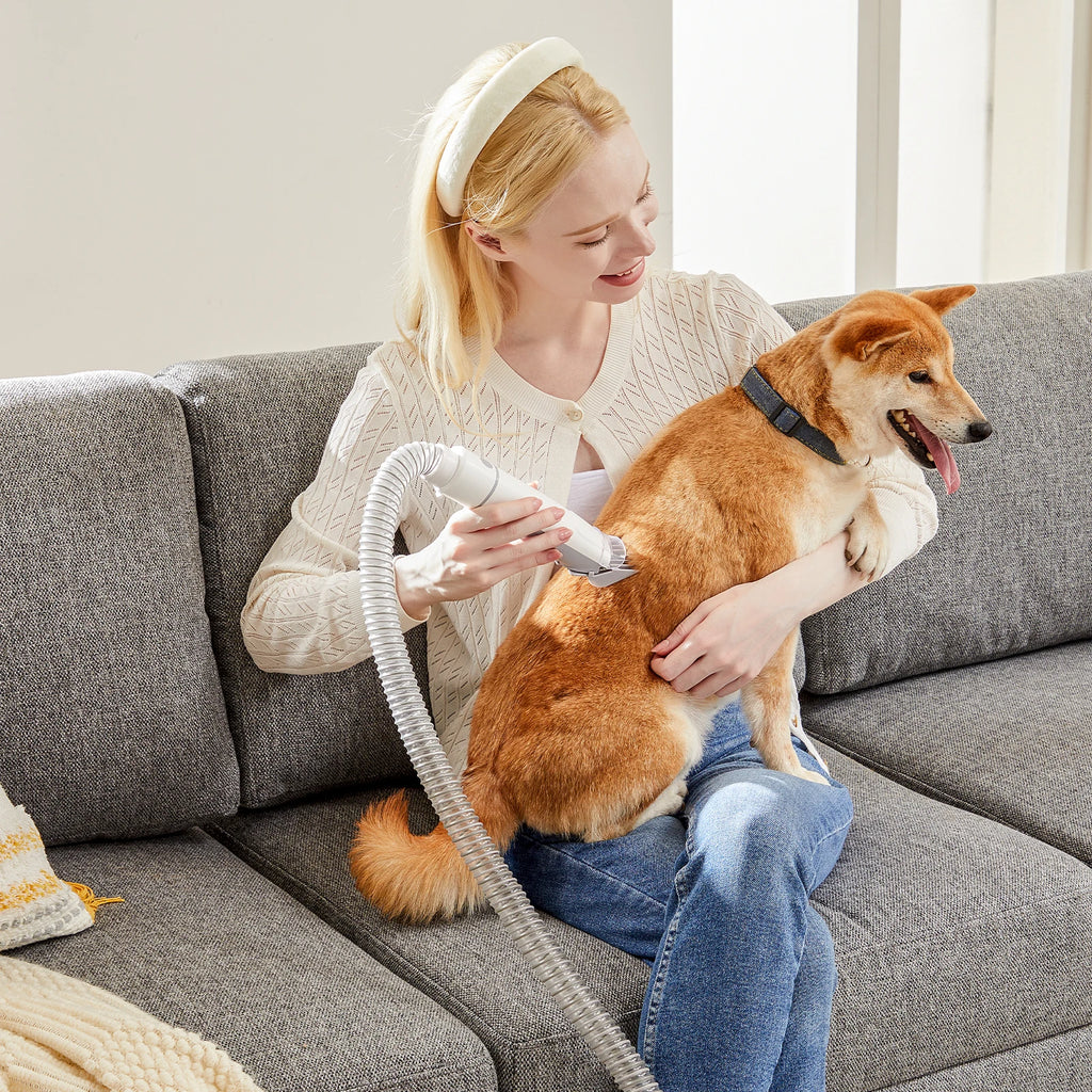 2.5L Professional Pet Grooming Vacuum