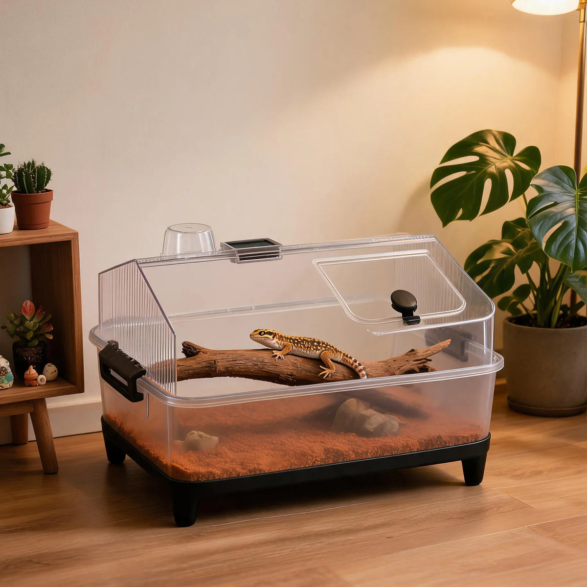 Small Reptile Terrarium Kit W/ Lid, Acrylic Tank, Heating Pad, For Gecko Lizard Tarantula Frog